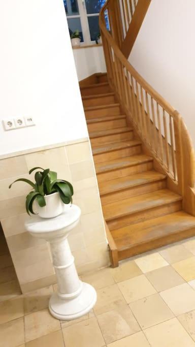 Rofingen Ferienwohnung In Der Villa Sana Mit Grossem Garten מראה חיצוני תמונה